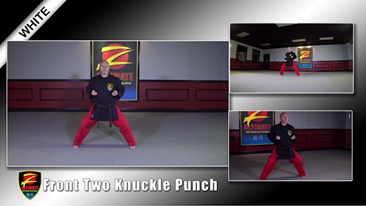 Video Image with 3 views