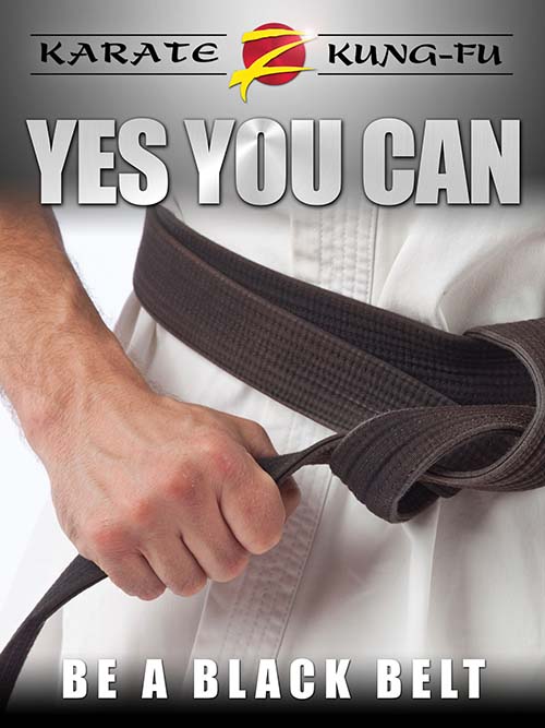 You - a Martial Arts Black Belt